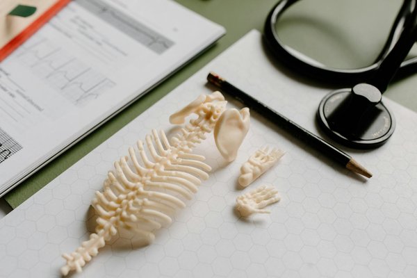 Semelle grandissante : alliez confort et élégance au quotidien